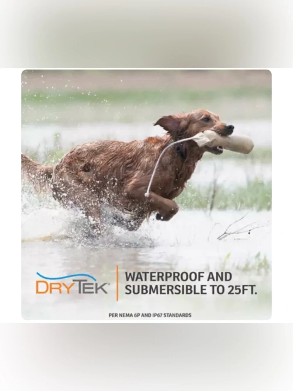 SportDOG® Brand NoBark 10 Collar - Rechargeable - Waterproof & Submersible
